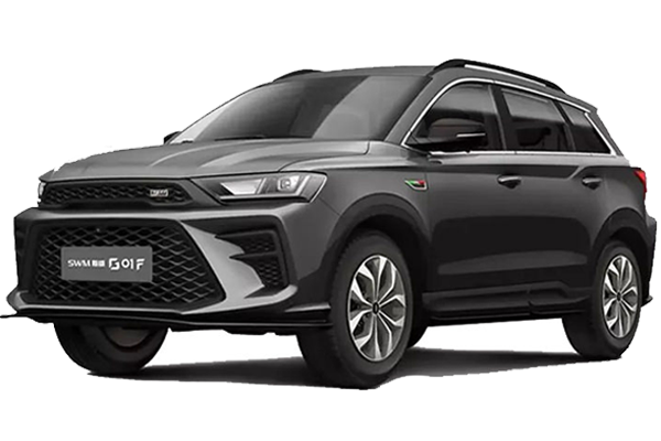 اس دبلیو ام G01F اتوماتیک